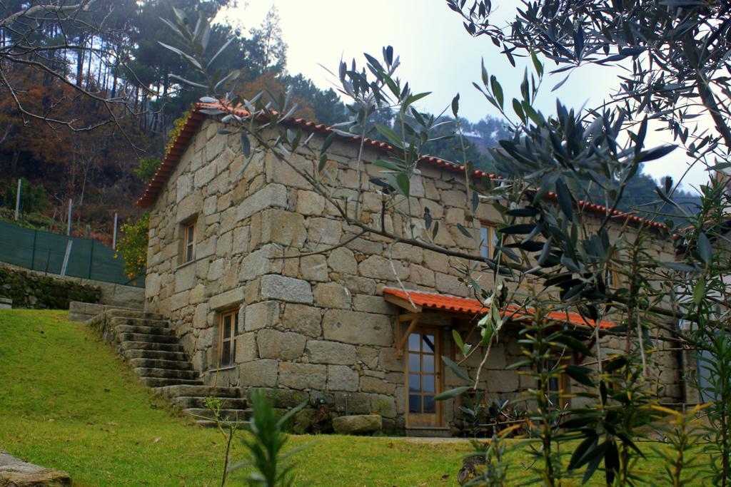 Douro Senses - Nature House Cinfães Camera foto